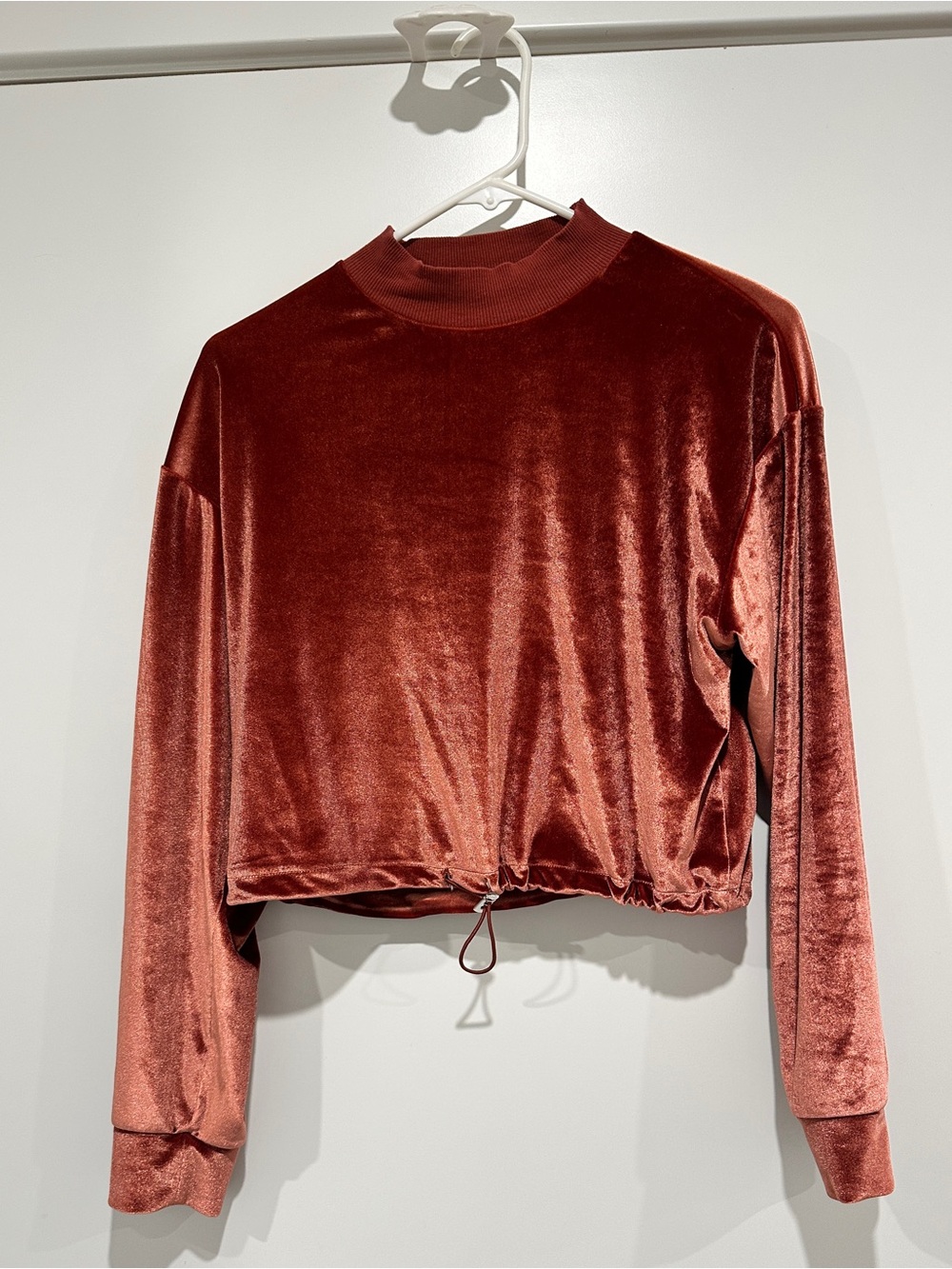Topshop Crop Long Sleeve - Velvet Style